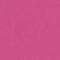 peony 588