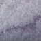 AOP winter fog 0182