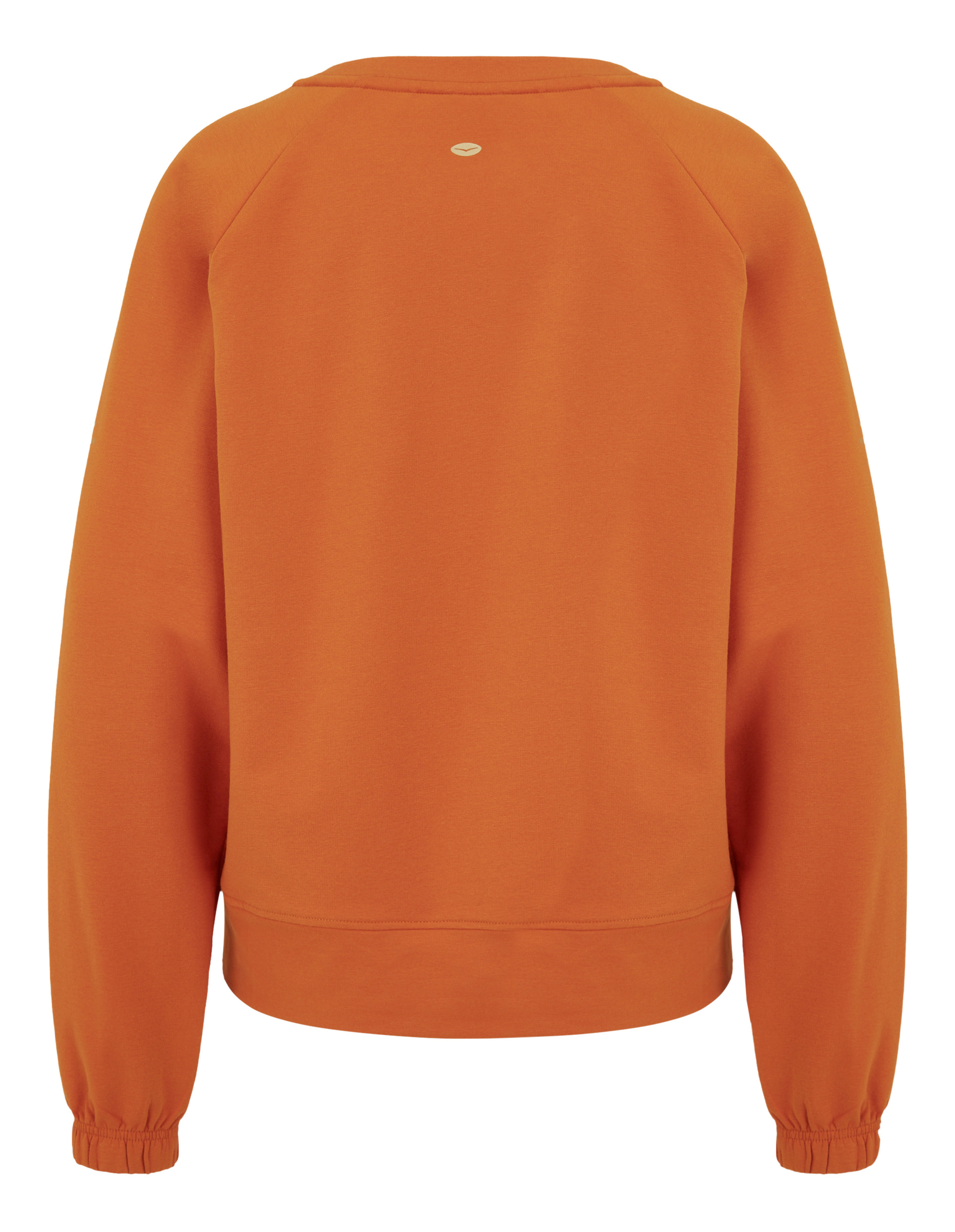 Orangefarbenes Sweatshirt mit langen Ärmeln, Rundhalsausschnitt und elastischen Bündchen, Rückenansicht mit kleinem Logo oben.