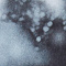 AOP gloomy night 0179