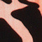 AOP tiger_amber 0191