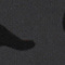 AOP tiger_tonal 0187